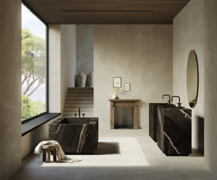 CER然ICAS Y PORCELANICOS